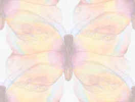 Желто-розовые бабочки