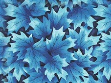 Осенние листья кленовые голубые