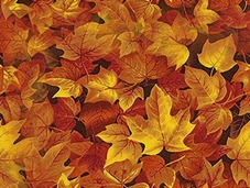 Осенние листья  желто-коричневые