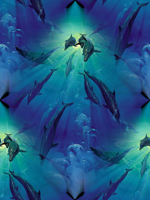 Дельфины в воде