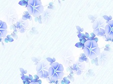 Синие цветы на белом рядами