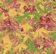 Осенние листья кленовые желтые и коричневые