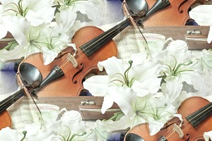 Скрипка среди белых лилий
