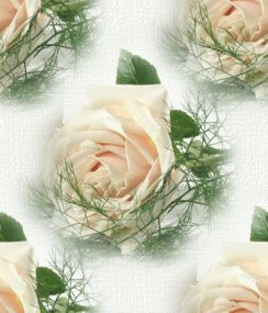 Розы с зеленью на белом