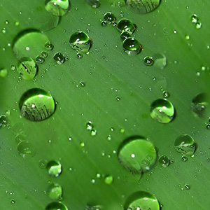 Капли воды на зеленом стекле