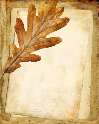 Старая бумага с коричневы дубовым листком