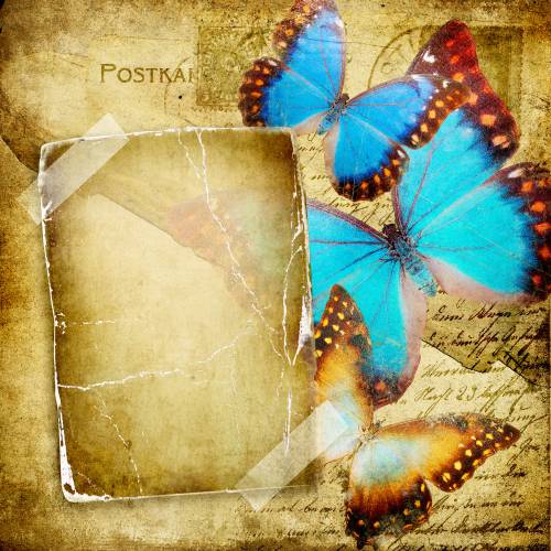 Винтажный фотоальбом с бабочками