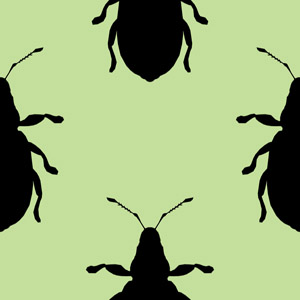 Черные жуки на зеленом