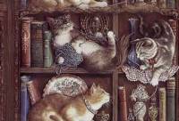 Коты на книжных полках