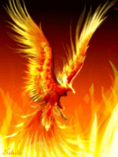 Огненная птица