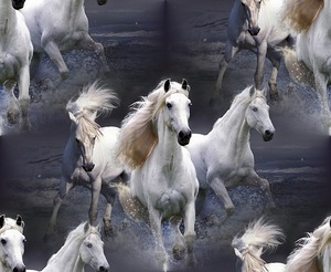 Скачут белые лошади