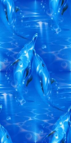 Дельфины на голубом