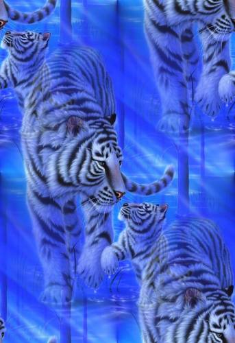 Тигры на голубом