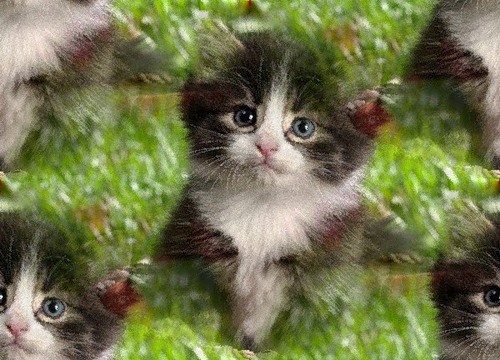 Котенок на фоне зеленой травы