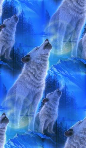 Волки на голубом