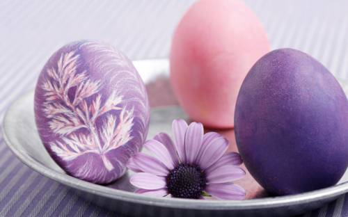 Пасха. Фиолетовые и розовые яйца с цветком